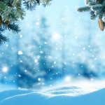 Seasons_Winter_Branches_509607
