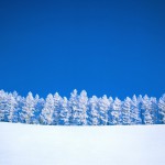 winter_blue_white_sky_pure_trees_45479_1280x1024